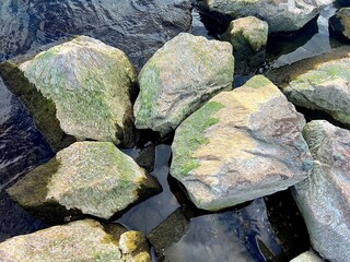 wall
