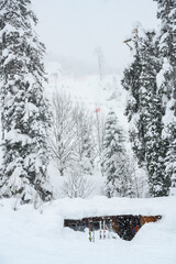 Tall spruce trees and a wooden hut covered with snow with mountain ski in front of it in winter in a snowstorm