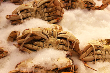 Fresh crabs on ice at the farmers market