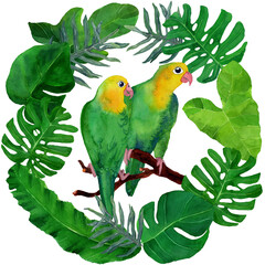 Watercolor illustration of two Lovebirds in wreath made of tropical leaves. Tropical birds portrait in realistic style. Design for covers, backgrounds, textile, prints. Amazonia forest fauna and flora