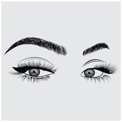 Fashion illustration of the eye with long full lashes