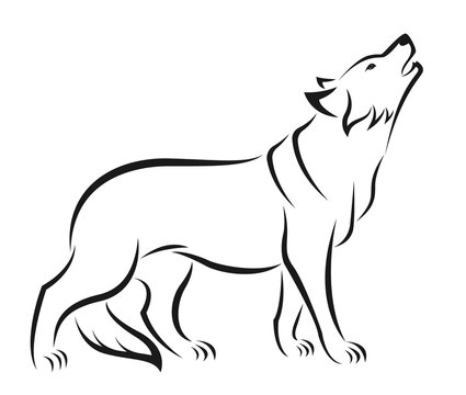 Wolf design isolated on transparent background. Wild Animals..