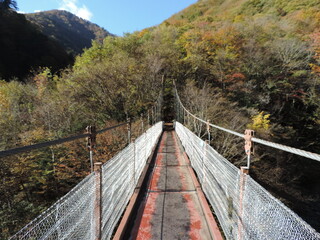 秋の山の中の一本橋
