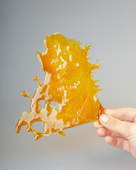 big piece cannabis golden shatter, hard cured resin in hand, celebration wax day 710