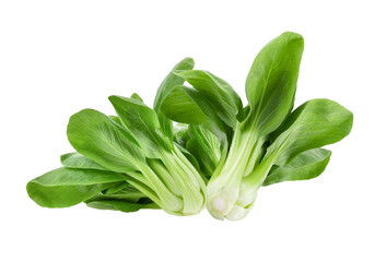 Bok choy vegetable isolated on transparent png