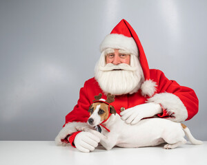 Portrait of santa claus and dog jack russell terrier in rudolf reindeer ears on a white background. 