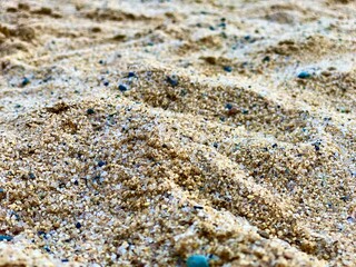 shells on sand