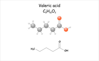 Stylized 2D molecule model/structural formula of valeric acid.