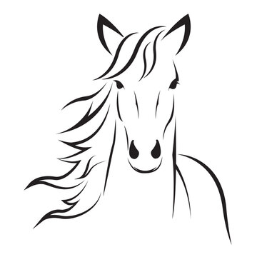 Horse head design isolated on transparent background. Wild Animals.