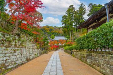 神奈川県鎌倉市　紅葉シーズンの円覚寺