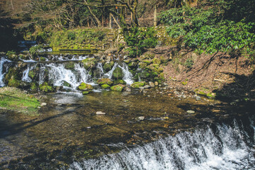 the Water flowing, Scenery of Kibune River 12 April 2012