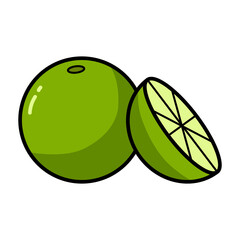 Color Lime Vectors Illustration