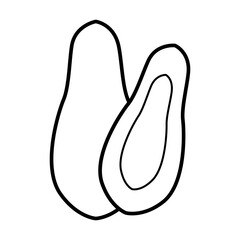 Outline Papaya Vectors Illustration