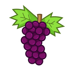 Color Grape Vectors Illustration