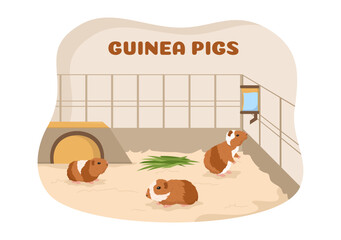 Guinea Pig Pets Hamsters Animals Breeds Suitable for Poster or Greeting Card in Flat Cute Cartoon Hand Drawn Templates Illustration