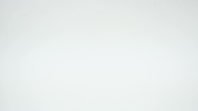 ゆっくり移動するニホンヤモリ