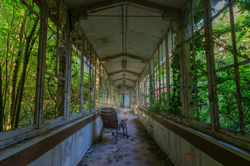 Wheelchair in the hallway of an abandoned sanatorium overgrown with ivy - Lost Place - Urban exploration - obrazy, fototapety, plakaty