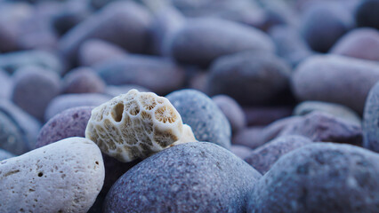 White coral stones like beehives stand out among other coastal rocks 