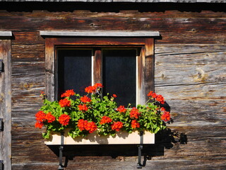 Fototapeta na wymiar wood-window with flowers