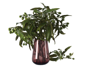 olive branch with olives in glass vase