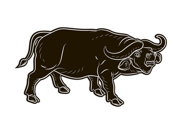 Large wild animal buffalo, black and white image. Vector drawing.