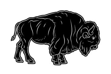 Large wild animal buffalo, black and white image. Vector drawing.