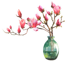 Watercolor illustration of a magnolia branch in a green glass transparent vase isolated on a white background.