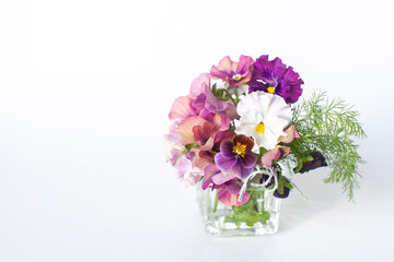 すみれ・パンジー・ビオラ