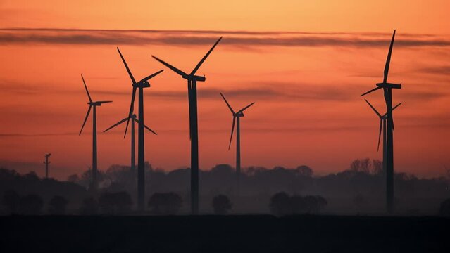 Windr&auml;der im Abendlicht