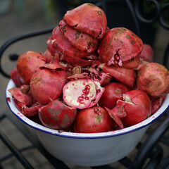 Waste from pomegranate fruit without grains after juicing with mechanical juicer. Close-up of white enamel bowl filled with pomegranate fruit peel is located on wrought iron chair in open air