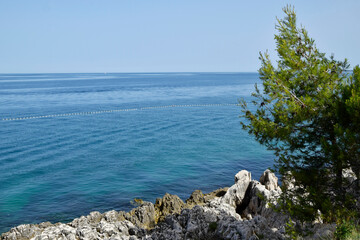 Fototapeta na wymiar Rocks and sea. Pine tree on rocky sea shore, blue seascape of Adriatic sea