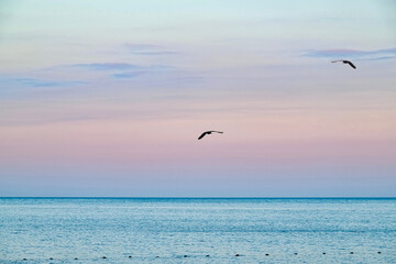 Sunset. Colorful clouds and beautiful sky. Birds in the sky. High quality photo