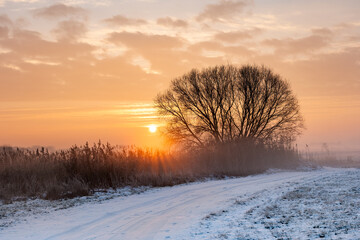 Winter landscape with sunrise, beautifuk warm light, snow