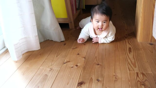 Japanese baby crawling in the house