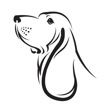 A basset hound dog head isolated on transparent background. Pet. Animals.