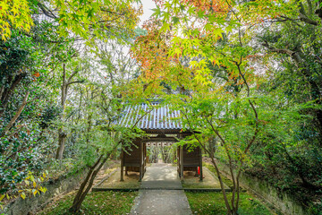 Fototapeta premium 秋の牛窓神社 岡山県瀬戸内市 Ushimado Shrine in autumn. Okayama Prefecture, Setouchi City.