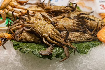 Necora (Necora puber), raw on ice in a market in Vigo (Spain), selective focus on the center of the image.