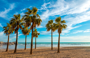 Fototapeta na wymiar Beautiful beach, mediterranean sea and palm tree