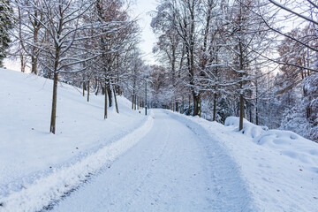 The road through the winter, snowy forest. Trees in the snow. Snow hidden path