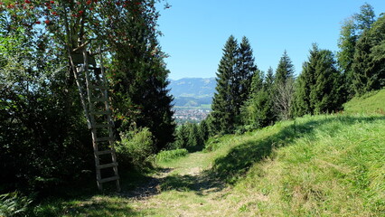Fototapeta na wymiar Oberallgäu Bayrische Alpen mit Hochsitz am Weg