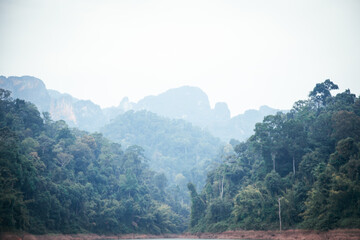 Many fog on the forest in morning