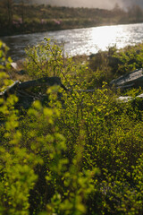 river in the mountains of altay