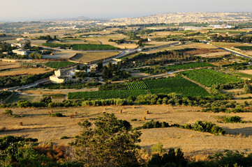 Fototapeta na wymiar Panorama sur les cultures depuis Mdina, avec au loin, la ville de Mosta, Malte