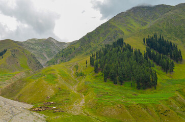 Fototapeta na wymiar Beautiful Lush Green Mountains in Northern Pakistan