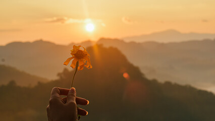 Female hands holding flowers in nature view with surrounding mountains in morning There is mist and soft light at sunrise.