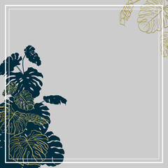Simple gray background with monstera leaves © Julia