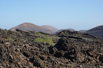 Different shapes of volcanic lava which solidified on Lanzarote Island 200 years ago, rocks, lava,...
