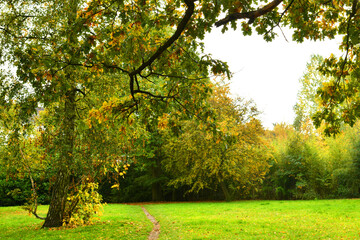 Autumn landscape. Pathway through the autumn park.	