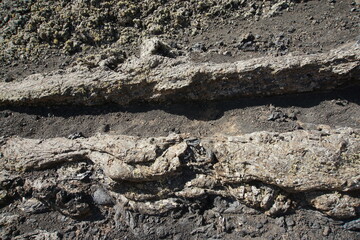 Different shapes of volcanic lava which solidified on Lanzarote Island 200 years ago, rocks, lava, photographed in November 2022, lava chimney, lava tunnel
