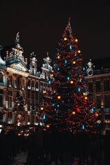 Fototapeta na wymiar christmas tree in the city